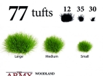 Woodland Tuft