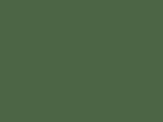 70756 – Eclat Vert – Splinter Green – 77