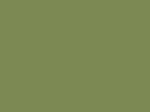 70758 – Vert Clair – Bright Green – 85