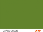 AK11140 - GRASS GREEN – STANDARD