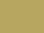 70806 – Jaune Allemand – RLM05 – German Yellow – 119