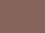 70803 – Rose Marron – Brown Rose – 10