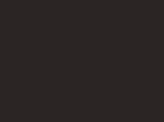 70771 – Rouille Foncé – Dark Rust – 156