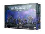 Paladins Chevaliers Gris